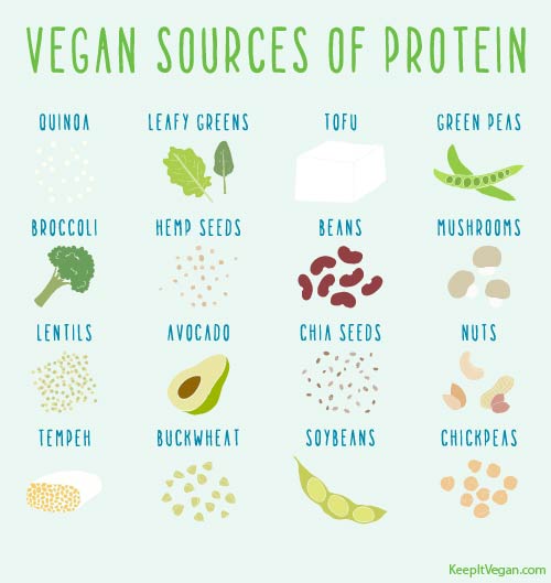 Sources of protein for vegans and vegetarians graphic.