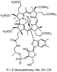 The chemical structure of vitamin B12