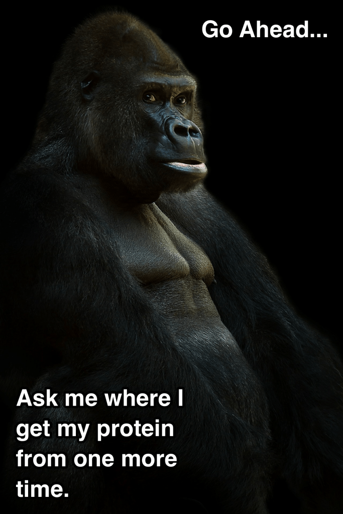 Protein Gorilla