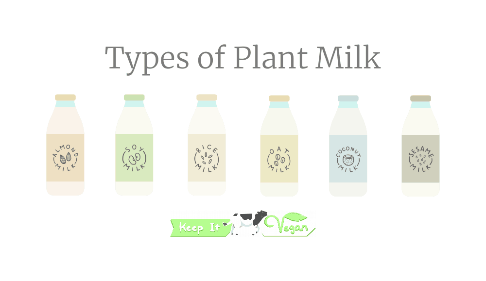 Various types of plant-based milks
